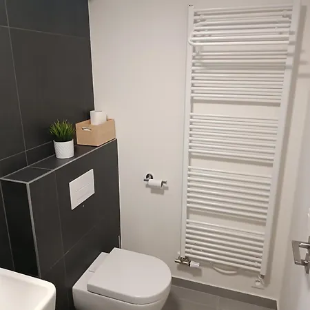Javorna Apartment Cachrov
