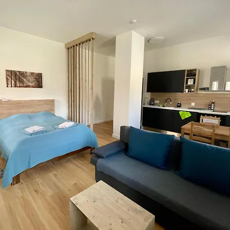 Apartmán Javorná
