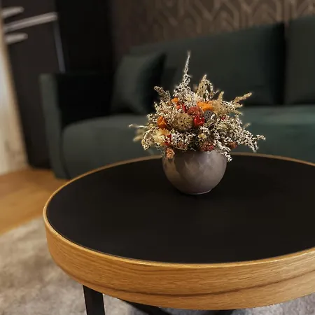 Javorna Apartment *