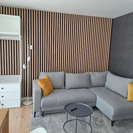 Apartmán Javorná Cachrov